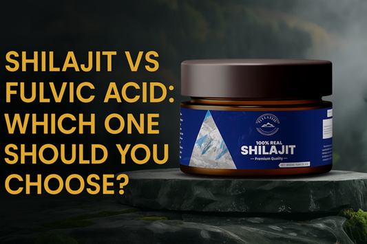 Shilajit vs Fulvic Acid: Which One Should You Choose?