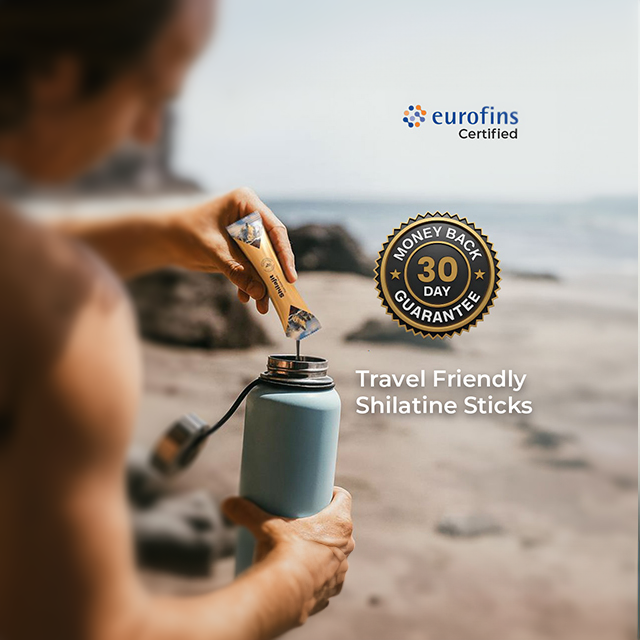 Shilatine - Honey & Shilajit Travel Sticks